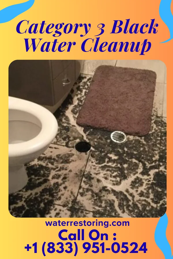 Category 3 Black Water Cleanup in Winchester, KY