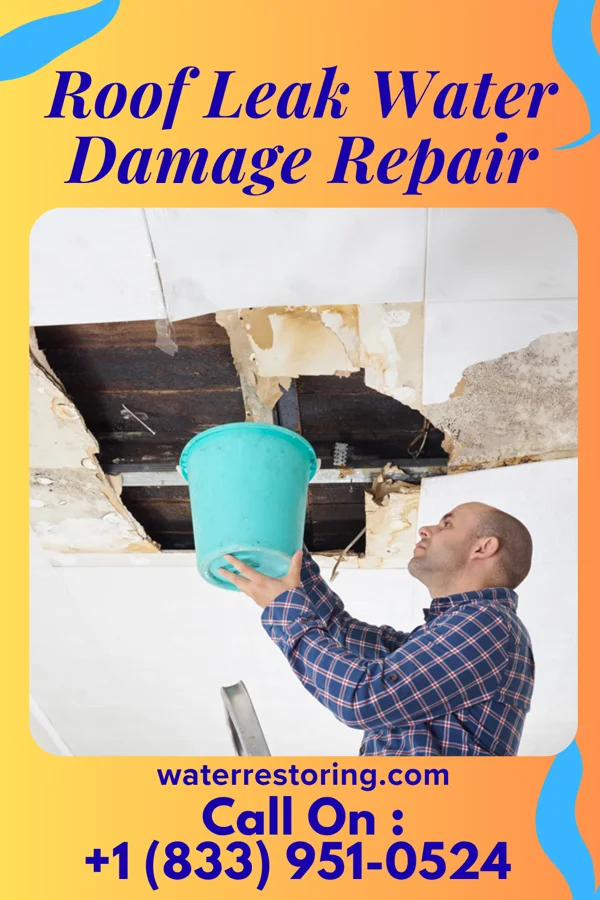 Roof Leak Water Damage Repair in Winchester, KY