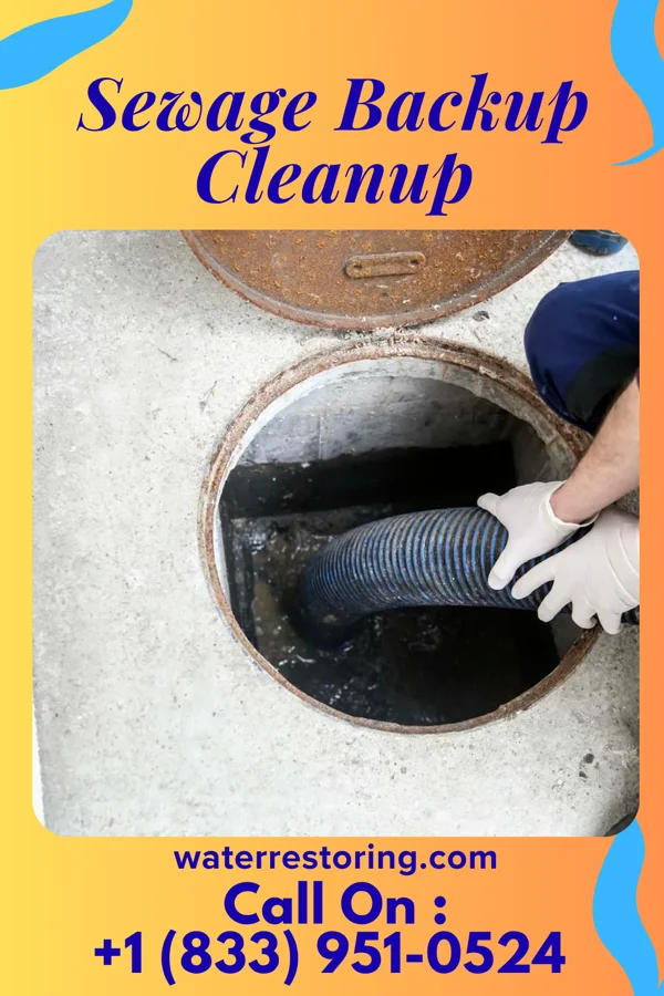 Sewage Backup Cleanup in Winchester, KY
